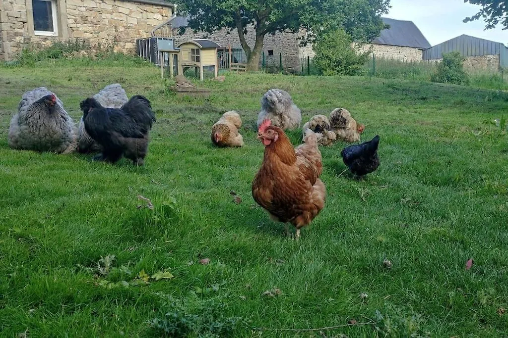 Gite De La Petite Ferme Bretonne Louargat Hébergement de vacances